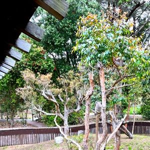 Meet your Posher, Koundinya